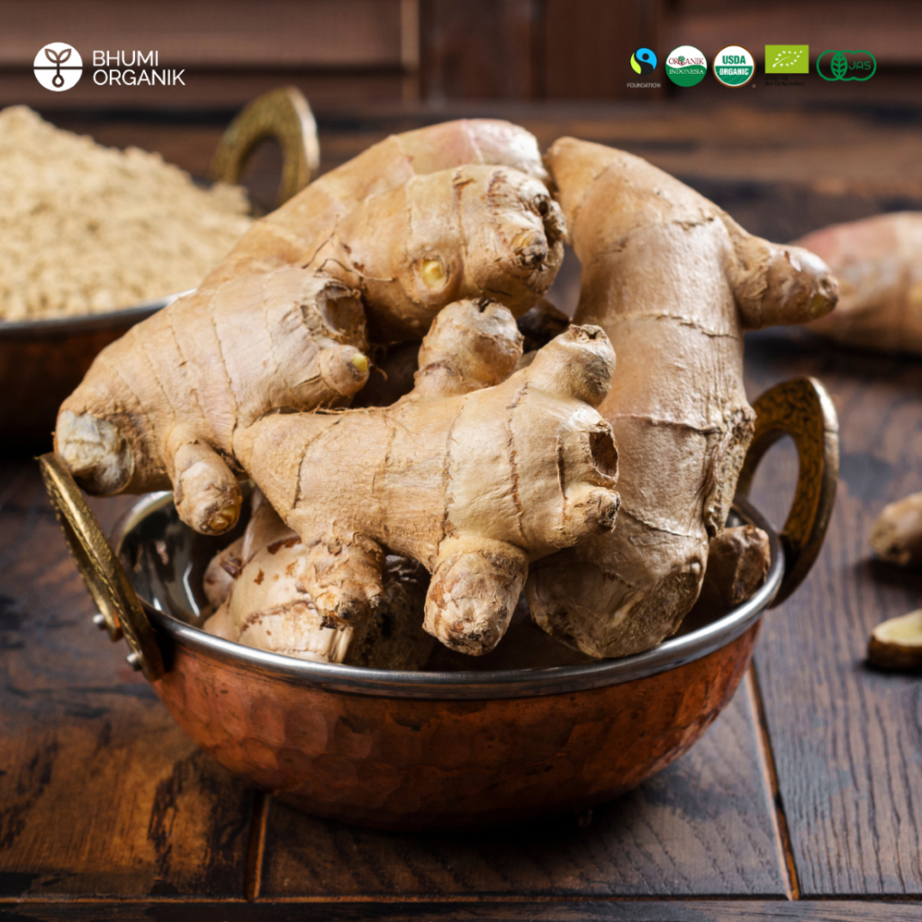 

Jahe Gajah Organik 100 gram - Ceritanik/Bhumi Organik - Ginger Organic - Rempah Organik Premium