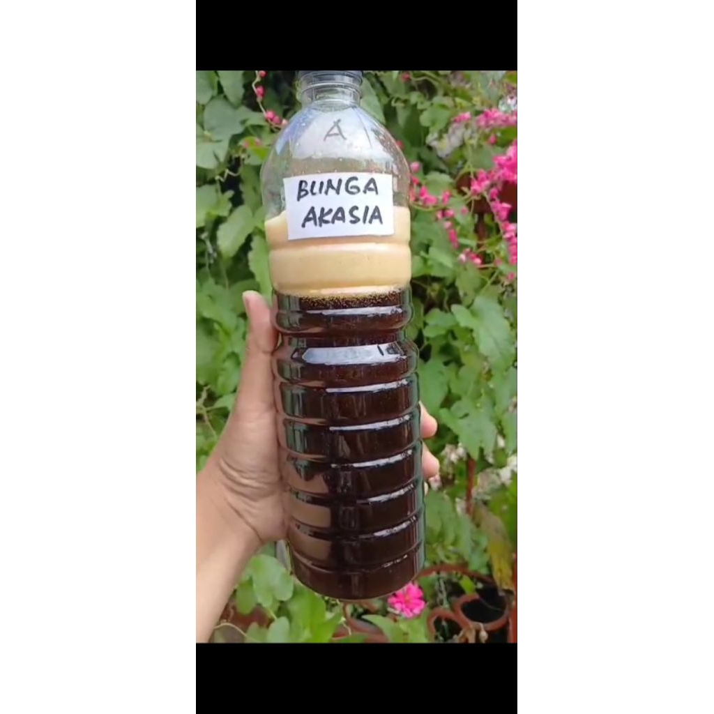 

Madu Bunga Akasia Lebah Liar