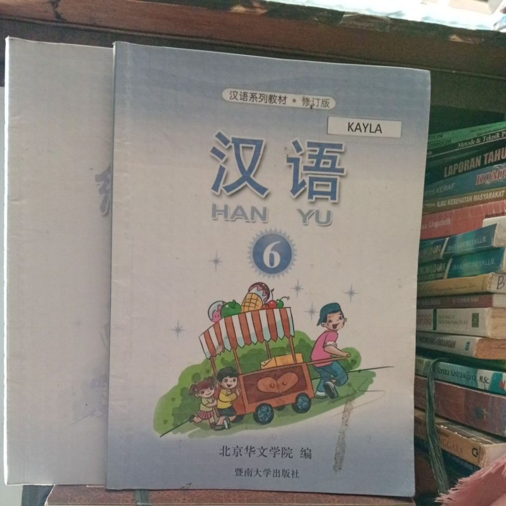 buku hanyu6