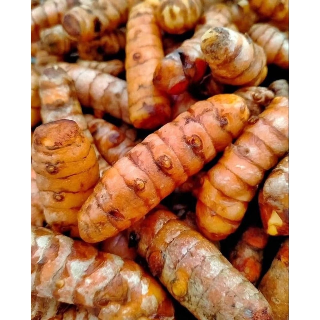 

kunyit jumbo cucian bersih grade A 1000g