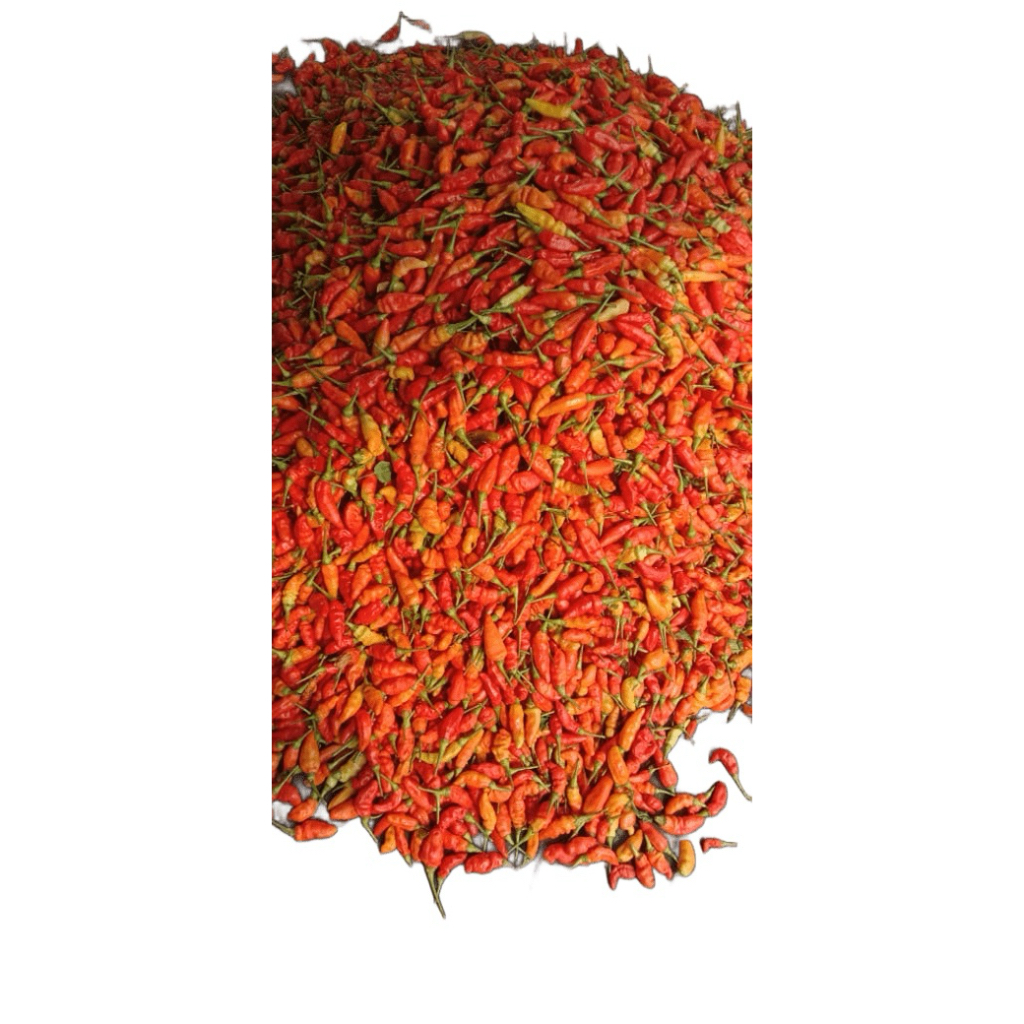 

CabeRawitMerahSetan 1kg