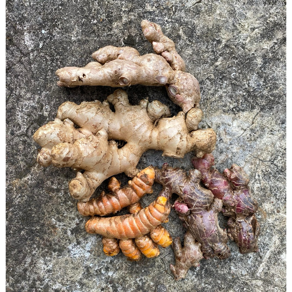 

REMPAH/BUMBU VARIASI 150G