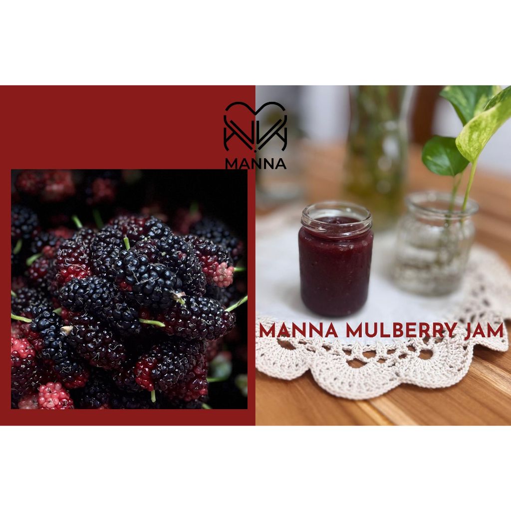 

MANNA Mulberry Jam Selai Murbei homemade buah asli selai toping olesan roti dan kue