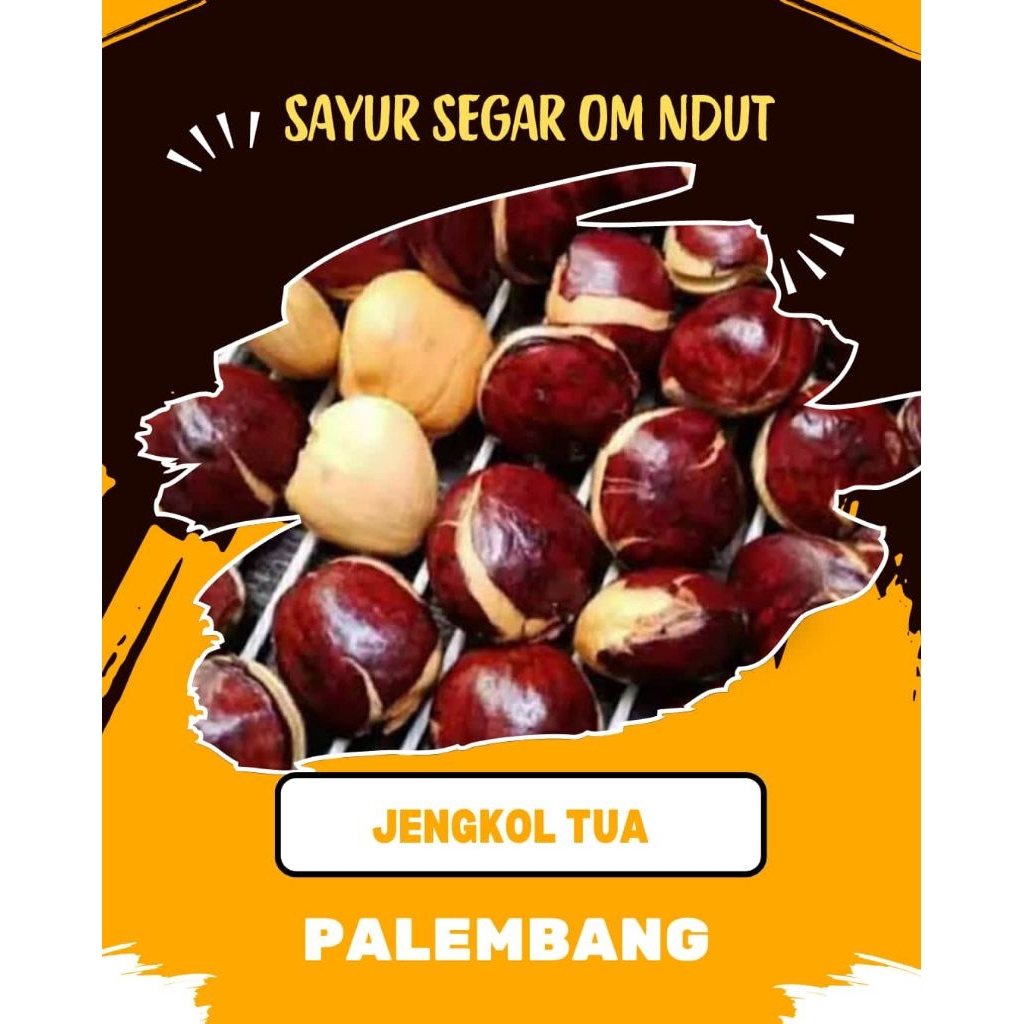 

JENGKOL - INSTAN PALEMBANG
