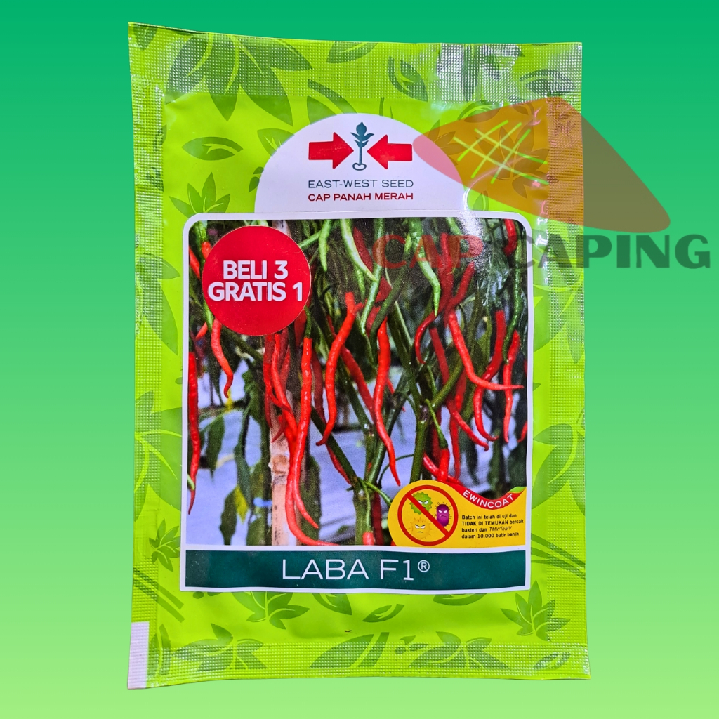 BENIH CABAI KERITING LABA F1 CAP PANAH MERAH