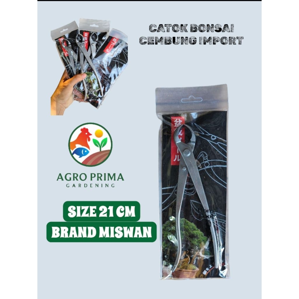 CATOK CEMBUNG IMPORT 21 CM TAJAM CATOK BONSAI CEMBUNG IMPORT MISWAN ORIGINAL