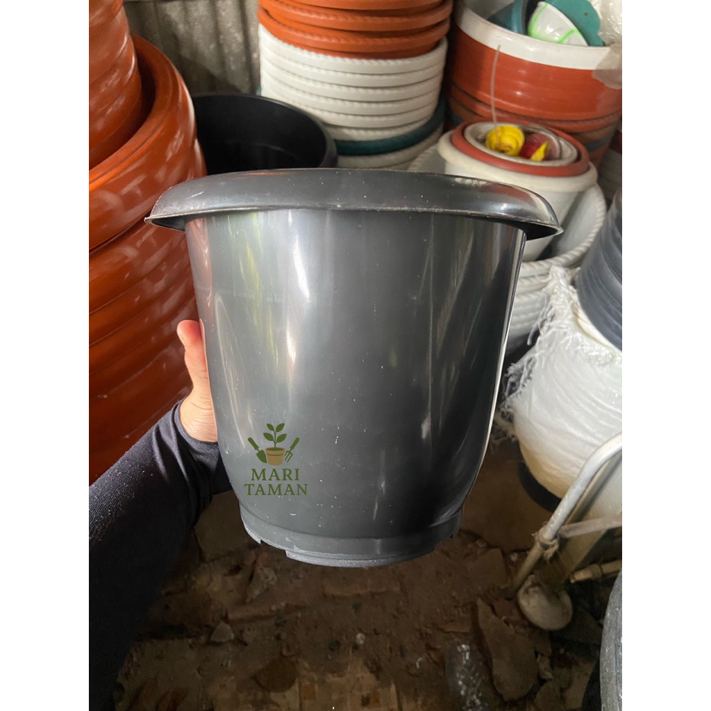 POT PALEM HITAM TINGGI