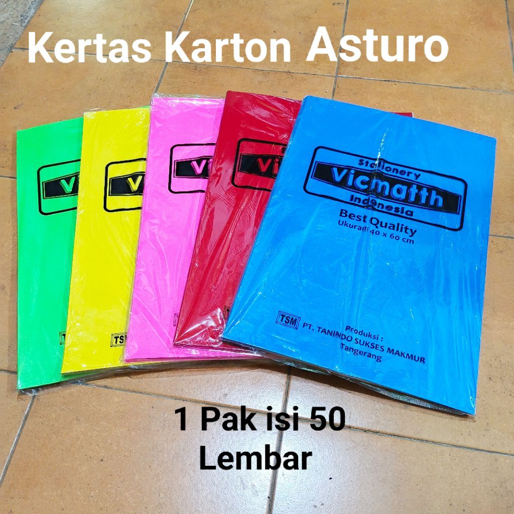 

10 Pcs Kertas Karton Asturo ( 12 PILIHAN WARNA )