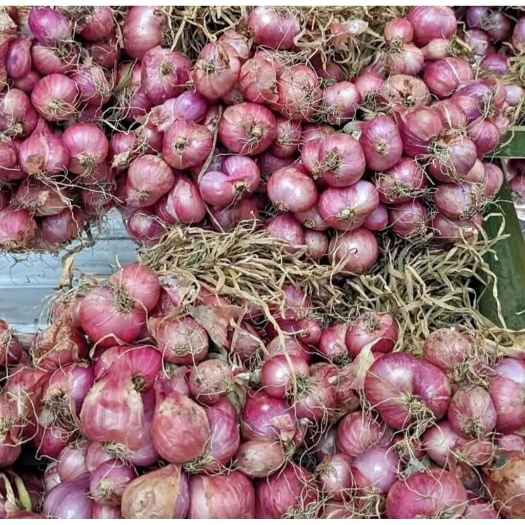 

bawang merah1kg