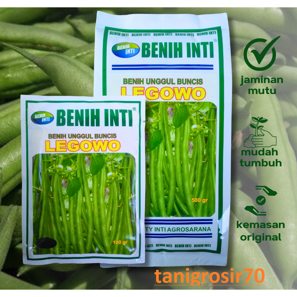 Benih Unggul Buncis LEGOWO @ 100 gr Biji Hitam Asli cap Benih Inti Lebat & Tidak Mudah Patah