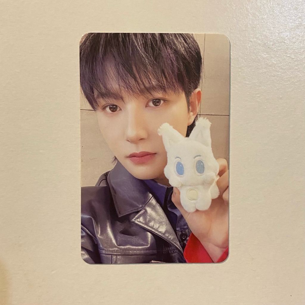 photocard renjun magnet doll