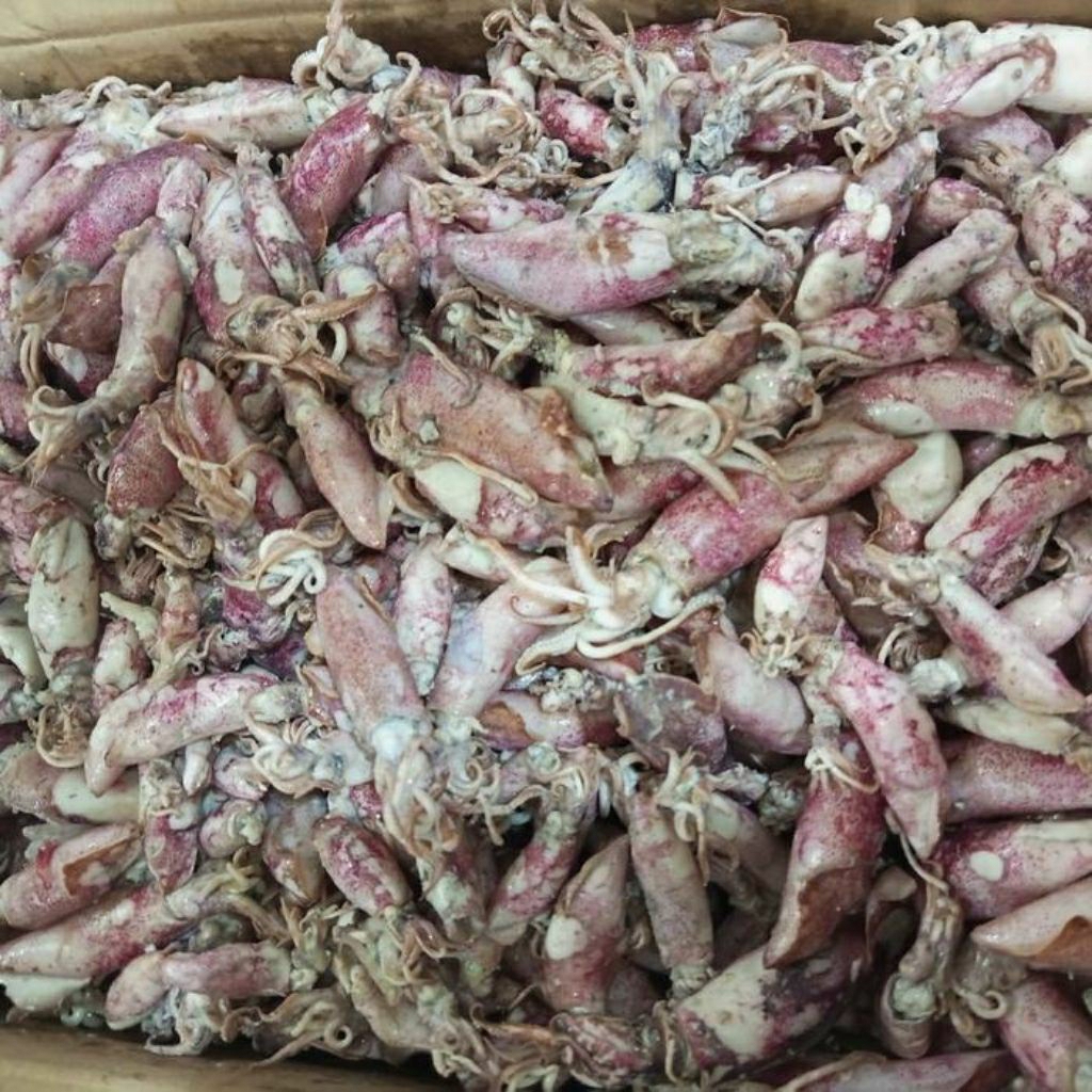 

INSTANT - ikan asin cumi besar 100g by pasar Tasik online