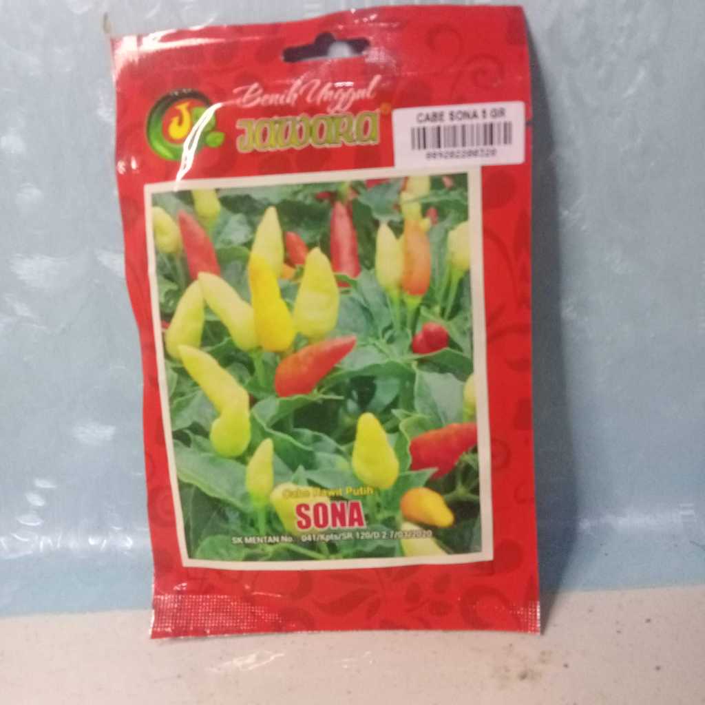 Benih cabe sona