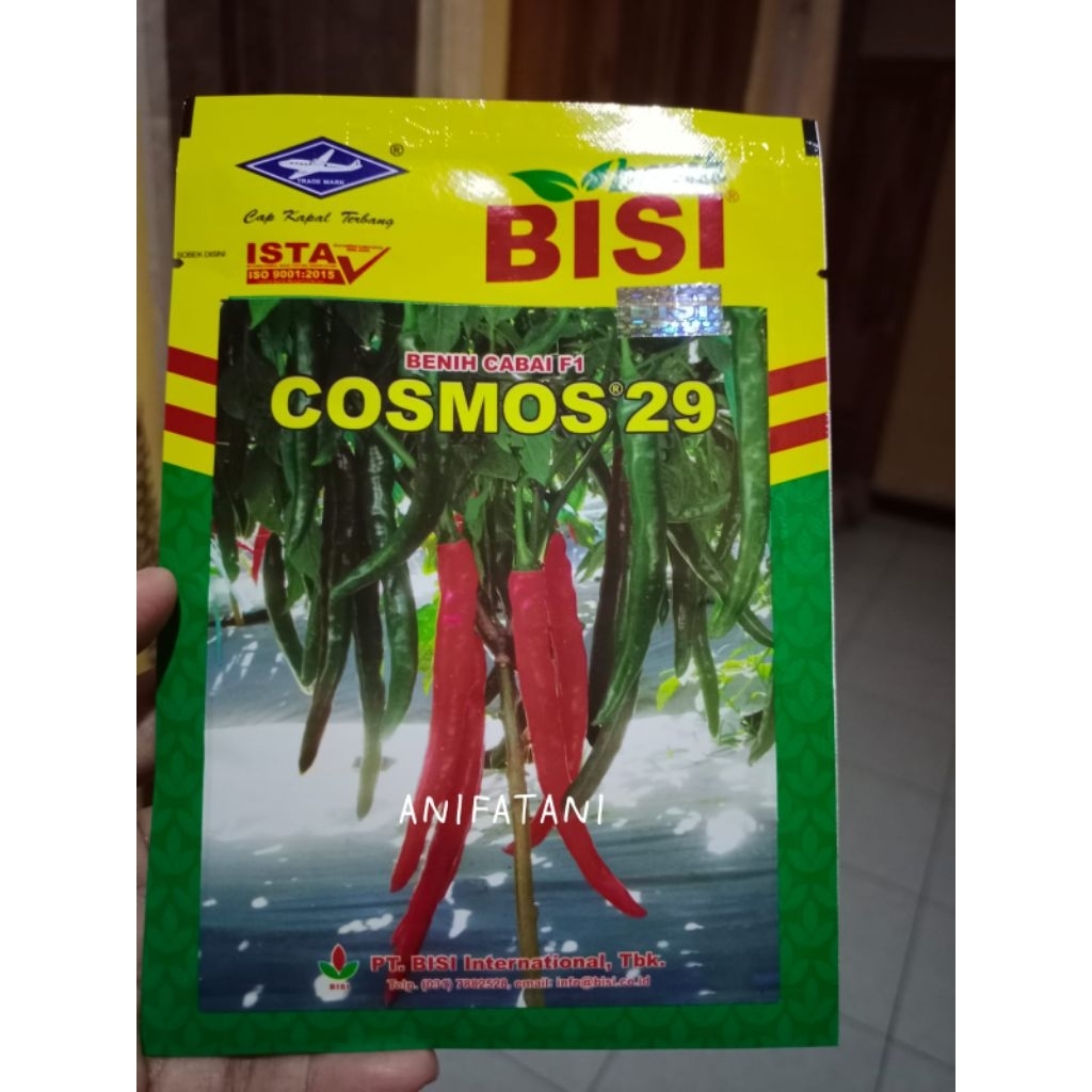 benih cabe besar COSMOS 29