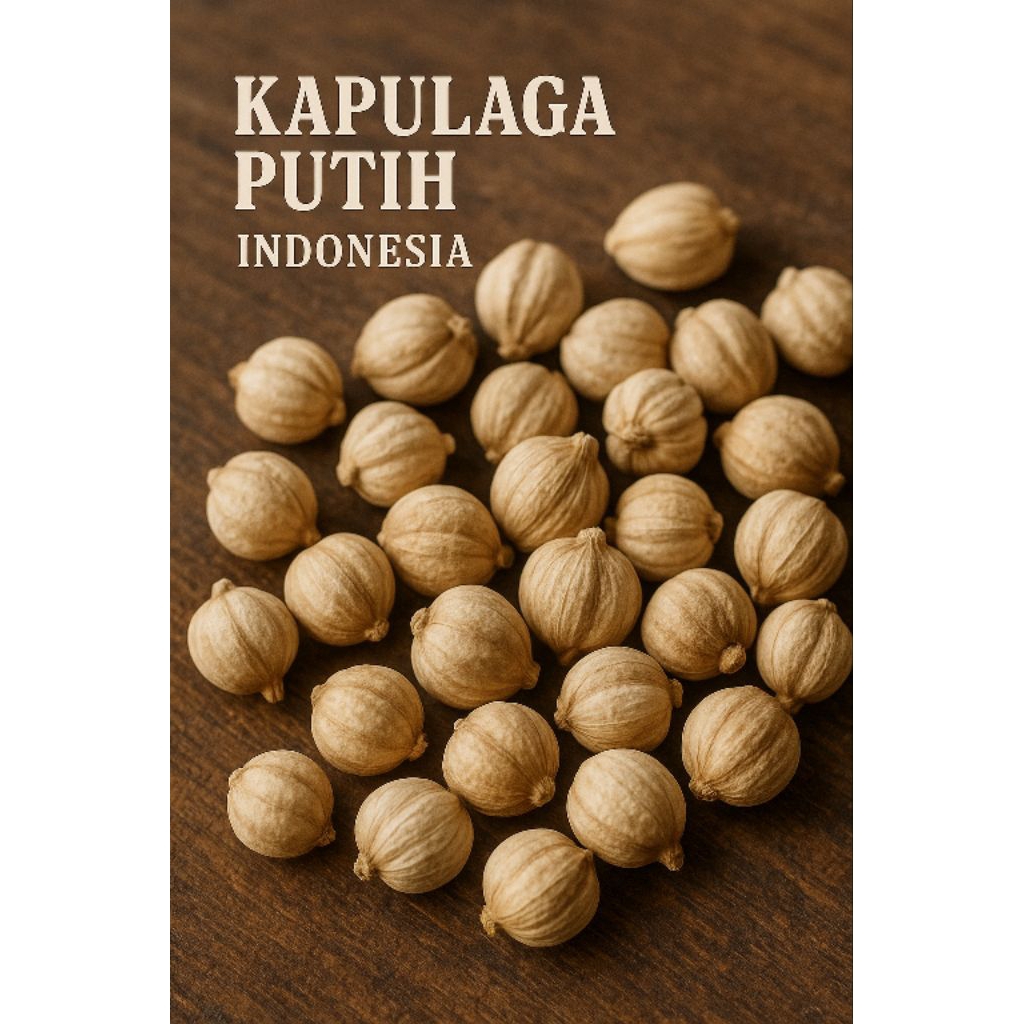 

Kapulaga Premium Asli Rempah Indonesia/Kapol Premium Asli Rempah Indonesia