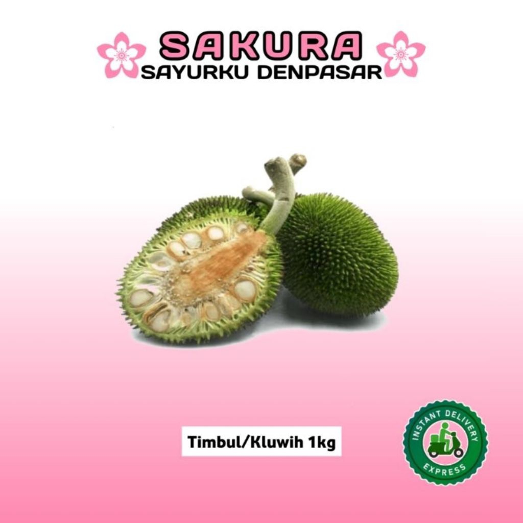 

[ KEBUN SENDIRI ] kluwih/timbul sayuran sehat di komsumsi 1kg murah meriah banyak manfaat