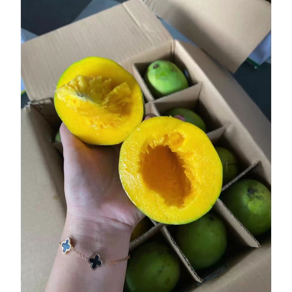 

MANGGA ALPUKAT MANISSS 1KG