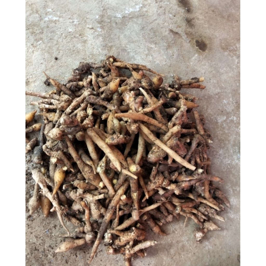 

kunci bumbu rempah,herbal 500g