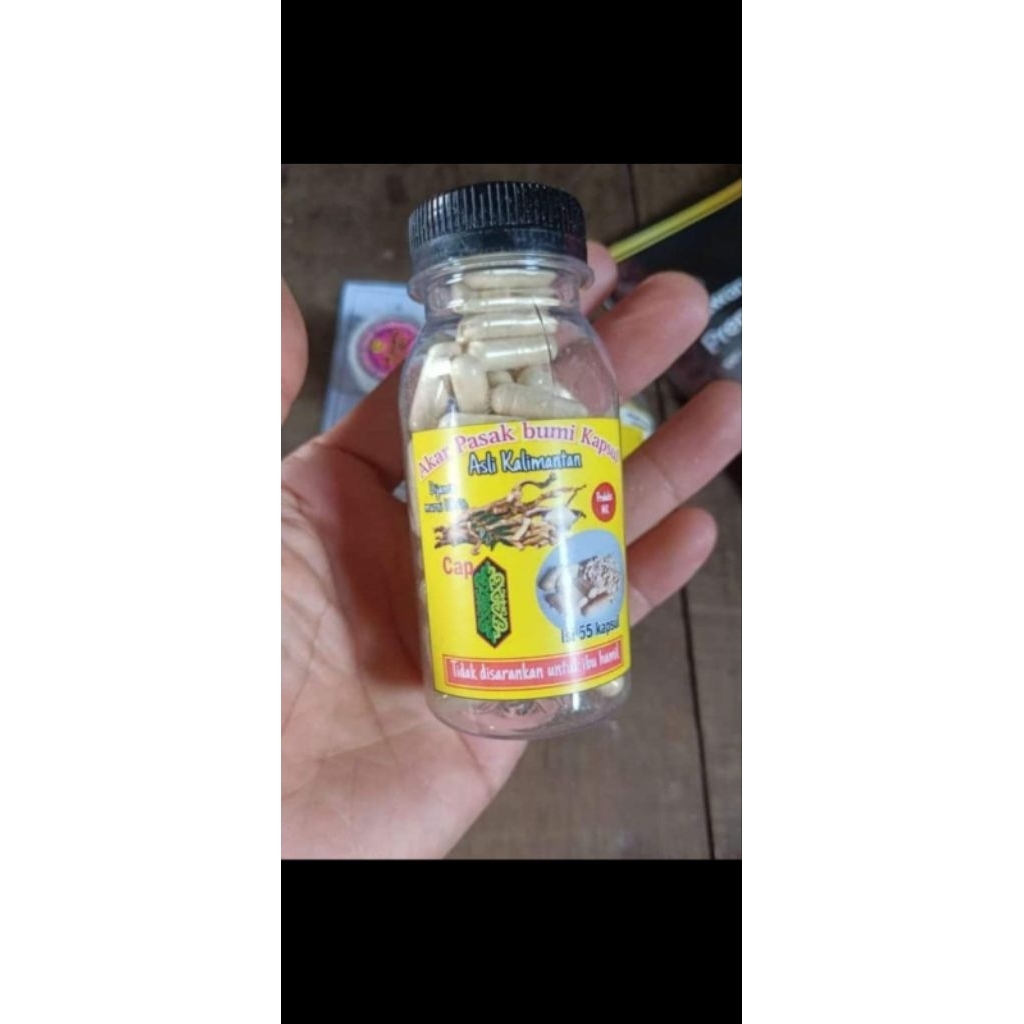 KAPSUL PASAK BUMI