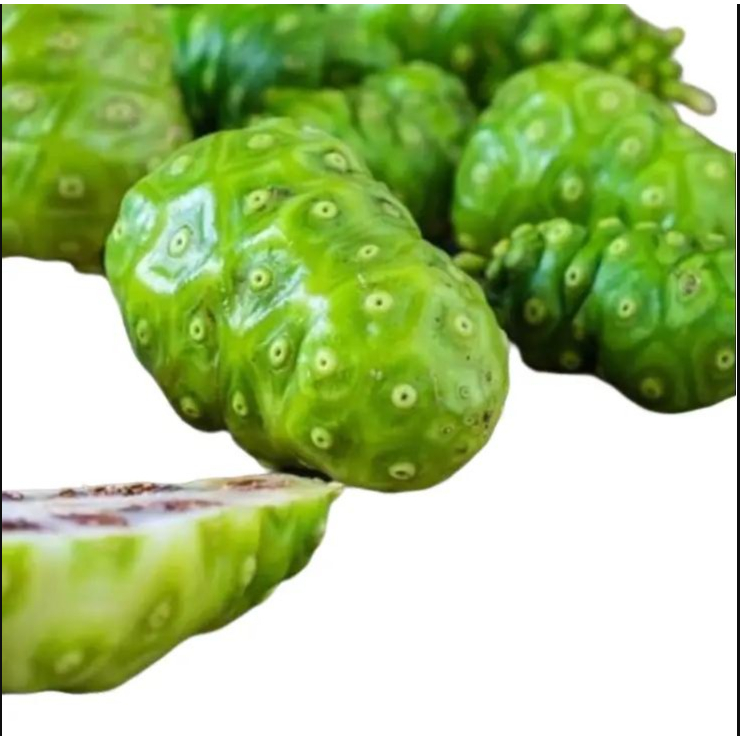 

250 Gram Buah Mengkudu Segar / Buah mengkudu (Morinda citrifolia)