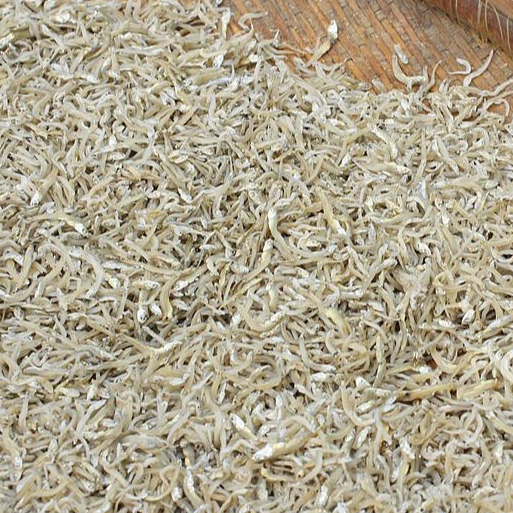 Teri nasi tawar dan teri nasi asin