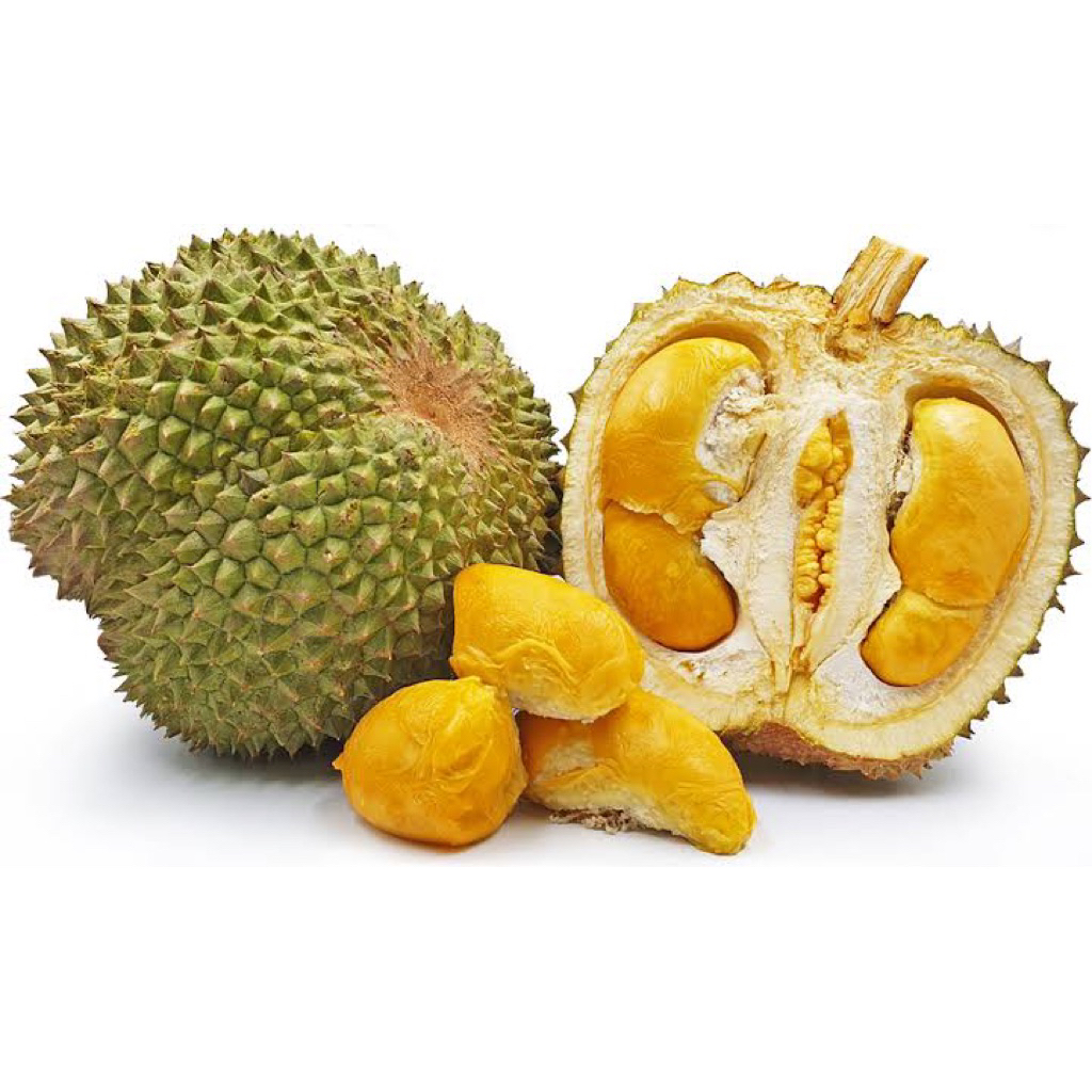 

Durian hitam | Buah durian blackthorn | Durian ochee super legit utuh