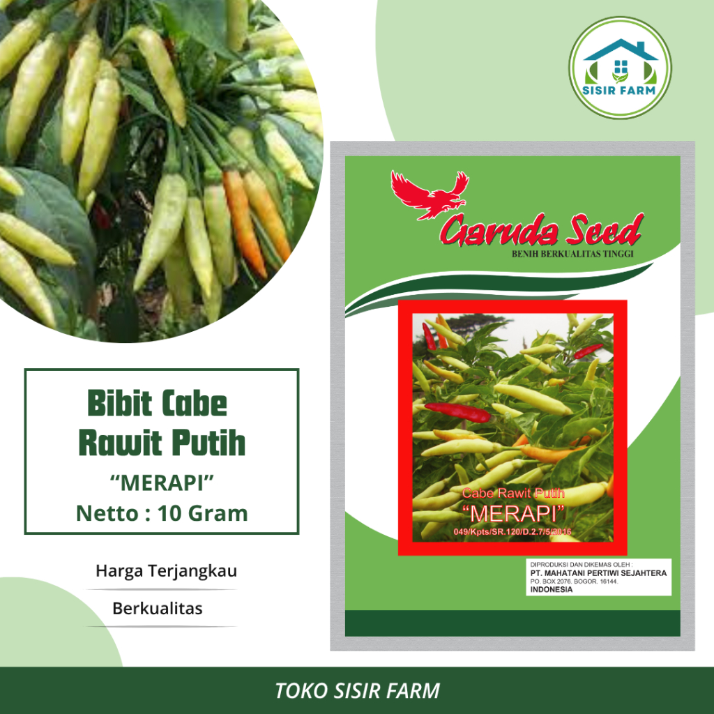 Benih Cabe Rawit Putih Bibit Cabe Rawit Putih MERAPI 10 Gram Garuda Seed