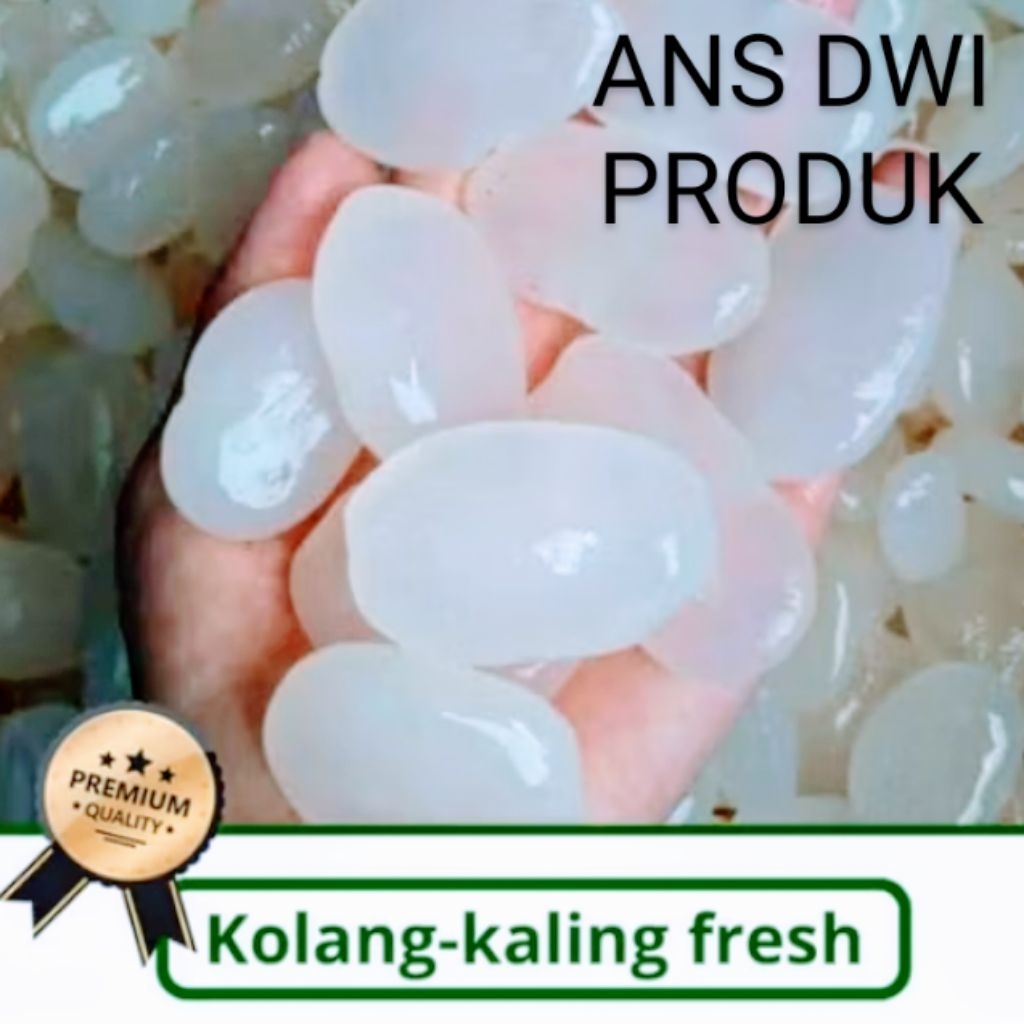 

[GARANSI] BUAH KOLANG KALING SUPER BESAR-BESAR