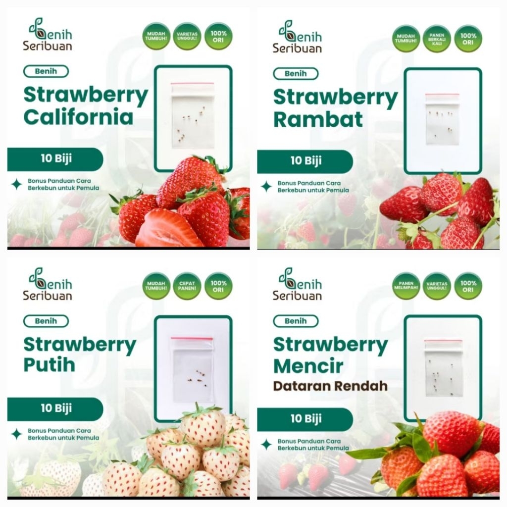 BENIH STRAWBERRY / BIJI STRAWBERRY MERAH & PUTIH