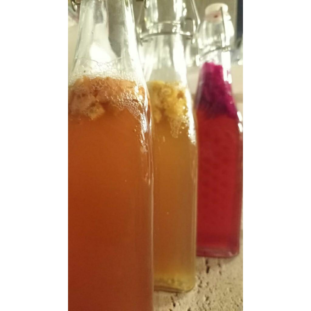 

KOMBUCHA BUAH Be Gut Friends Minuman fermentasi probiotik alami