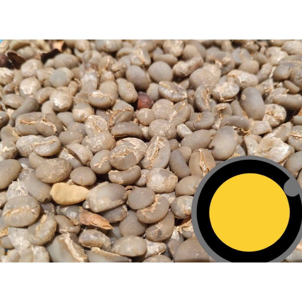 

Arabika Gayo Semiwashed