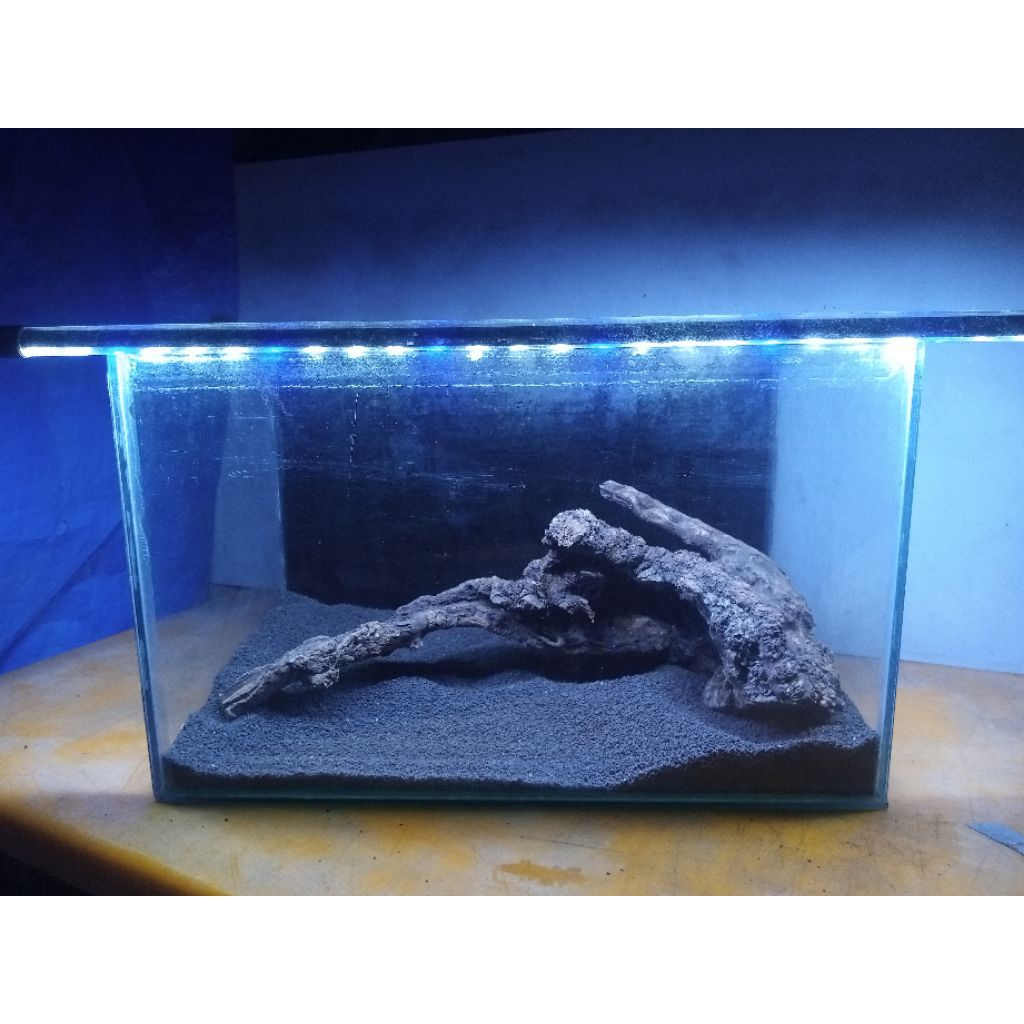 kayu santigi ori tenggelam