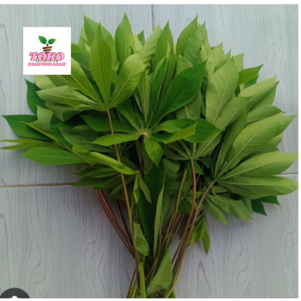 

daun singkong segar fresh 1 ikat