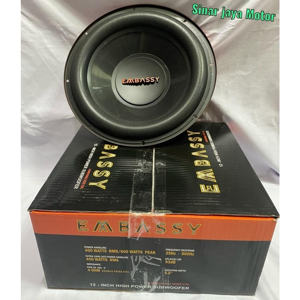 Subwoofer Embassy  EM 1289 12 Inch / Subwoofer 12 Inch Double Magnet