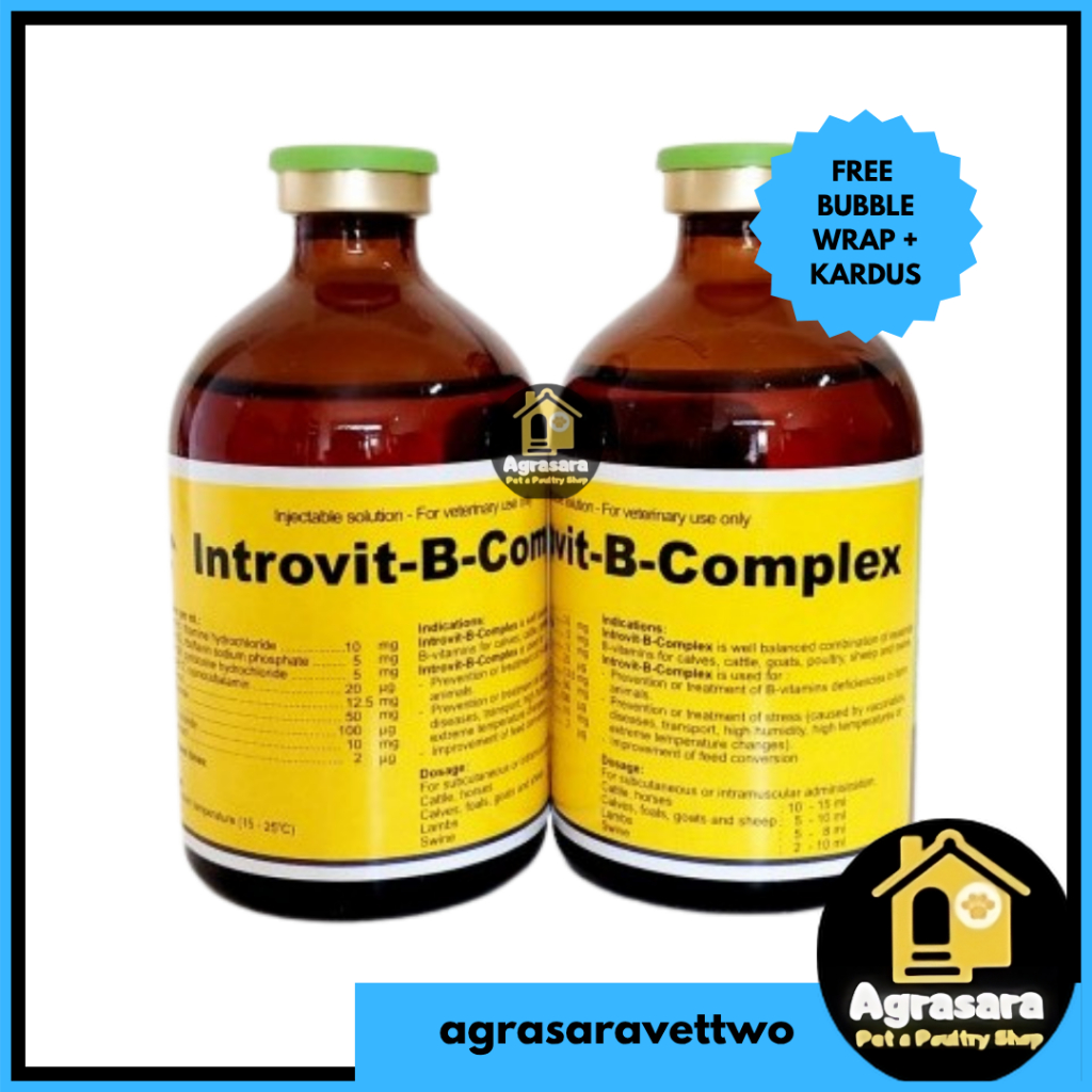 INTROVIT B COMPLEX 100 ml - (VIT B-COM B12 + BIOTIN)