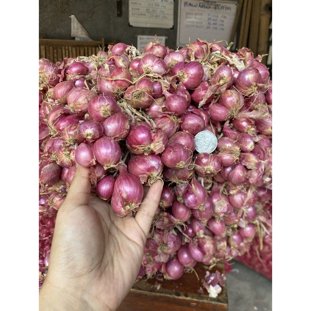 

bawang merah kemasan 250gr