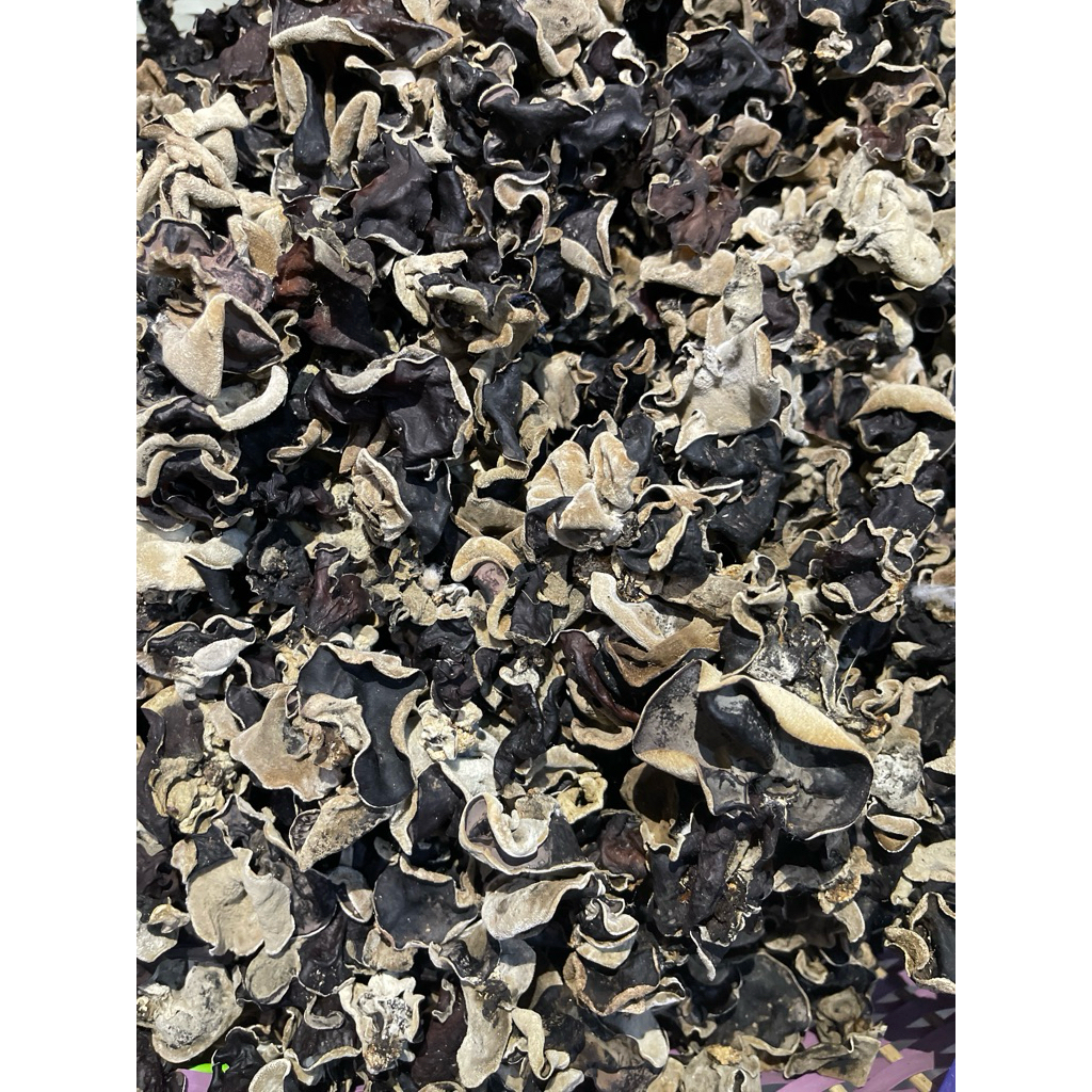 

Jamur kuping kering sortir standart Promo ✅