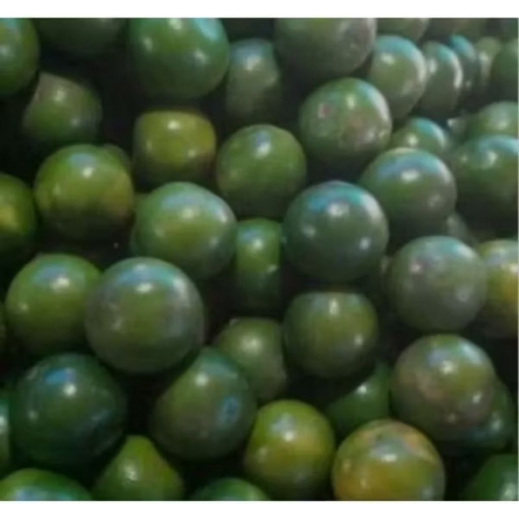 

Jeruk peras/peres segar dan fresh