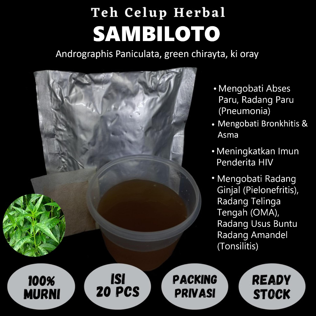 

Teh Celup Herbal SAMBILOTO Mengobati Saluran Pernafasan Sinusitis Tonsilitis Abses Paru Pereda Nyeri
