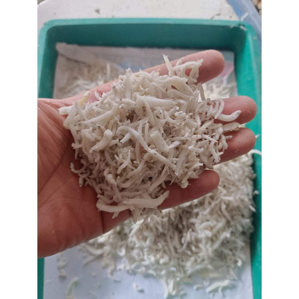 

paket teri nasi pesanan lampung