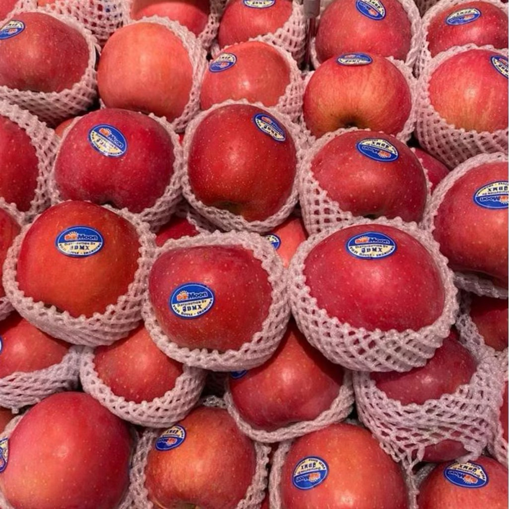 

Appel Fuji Blus | Appel Fuji Super manis Banyak Air 1kg