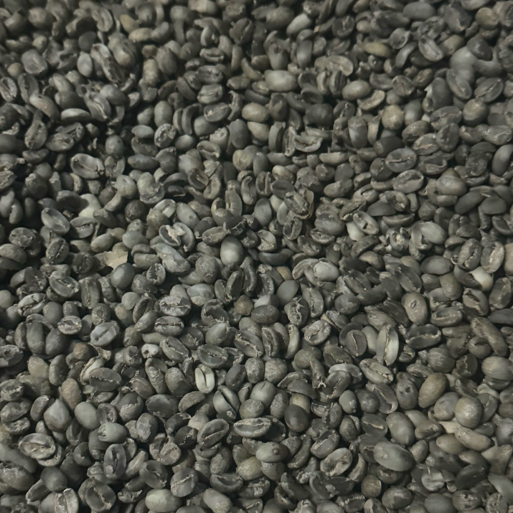 

Green Bean Arabica Full Wash 1Kg (Gambung, Ciwidey)