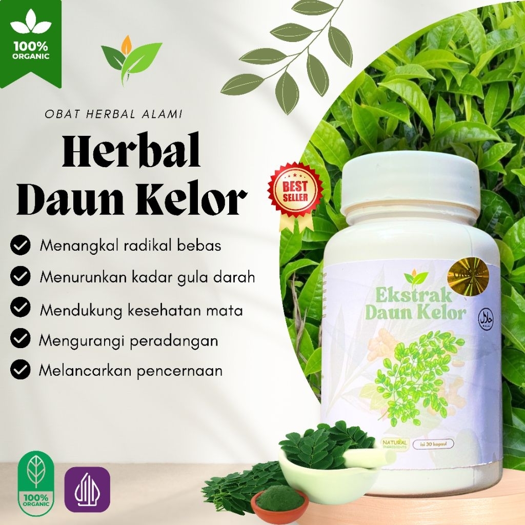 

Suplemen kesehatan Ekstrak DAUN KELOR,kesehatan mata, hipertensi, asi booster. ORIGINAL