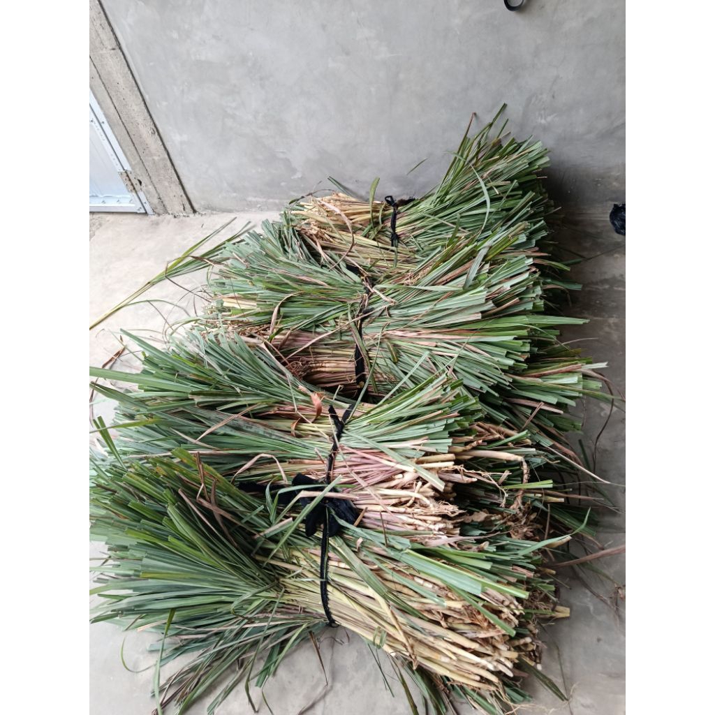 

sereh merah / sereh wangi 1 kg