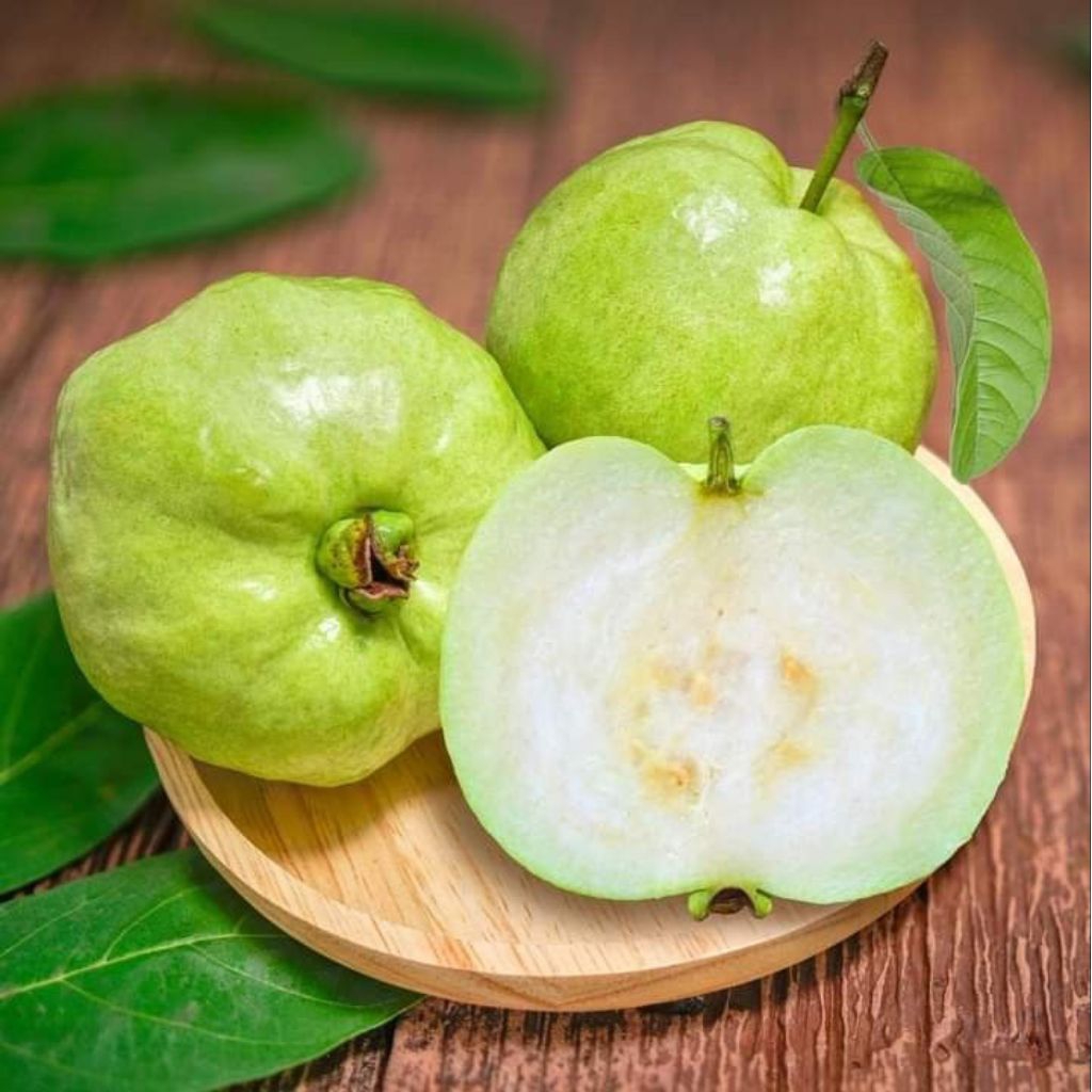 

Jambu Kristal Putih Non Biji Premium (1kg/1000g) Asli Jember