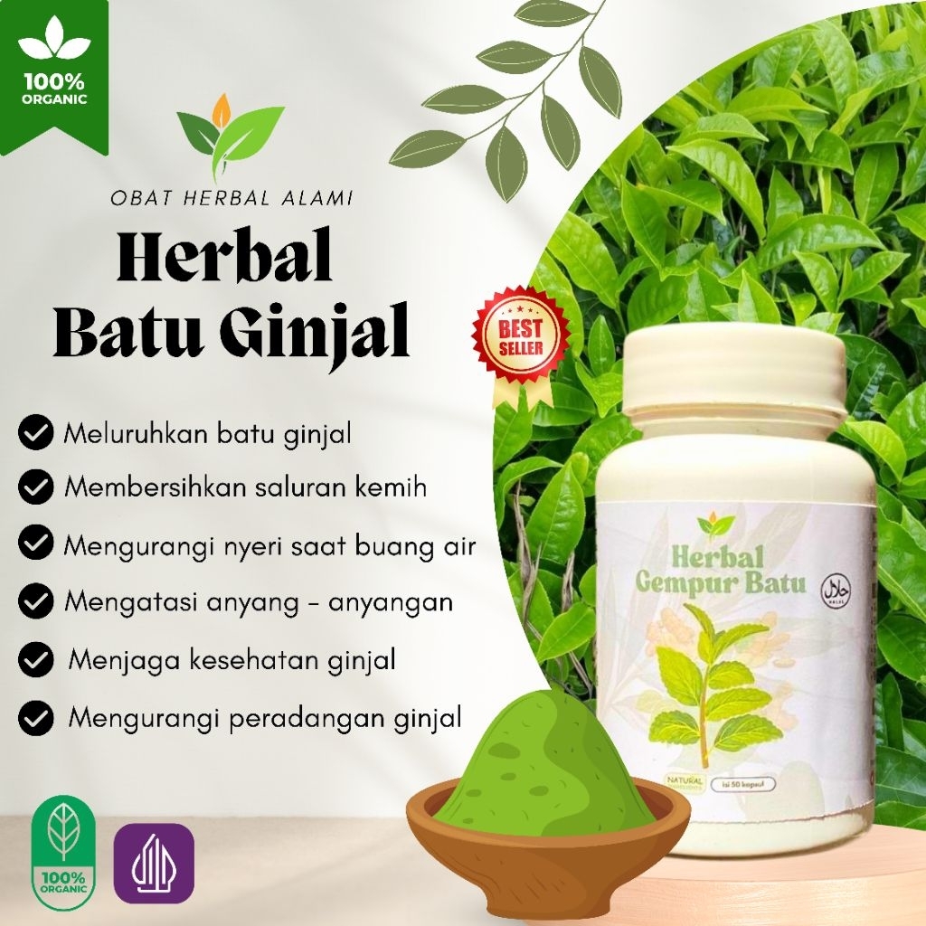 

Obat Herbal Meluruhkan BATU GINJAL, BATU EMPEDU,Batu saluran kemih secara alami2