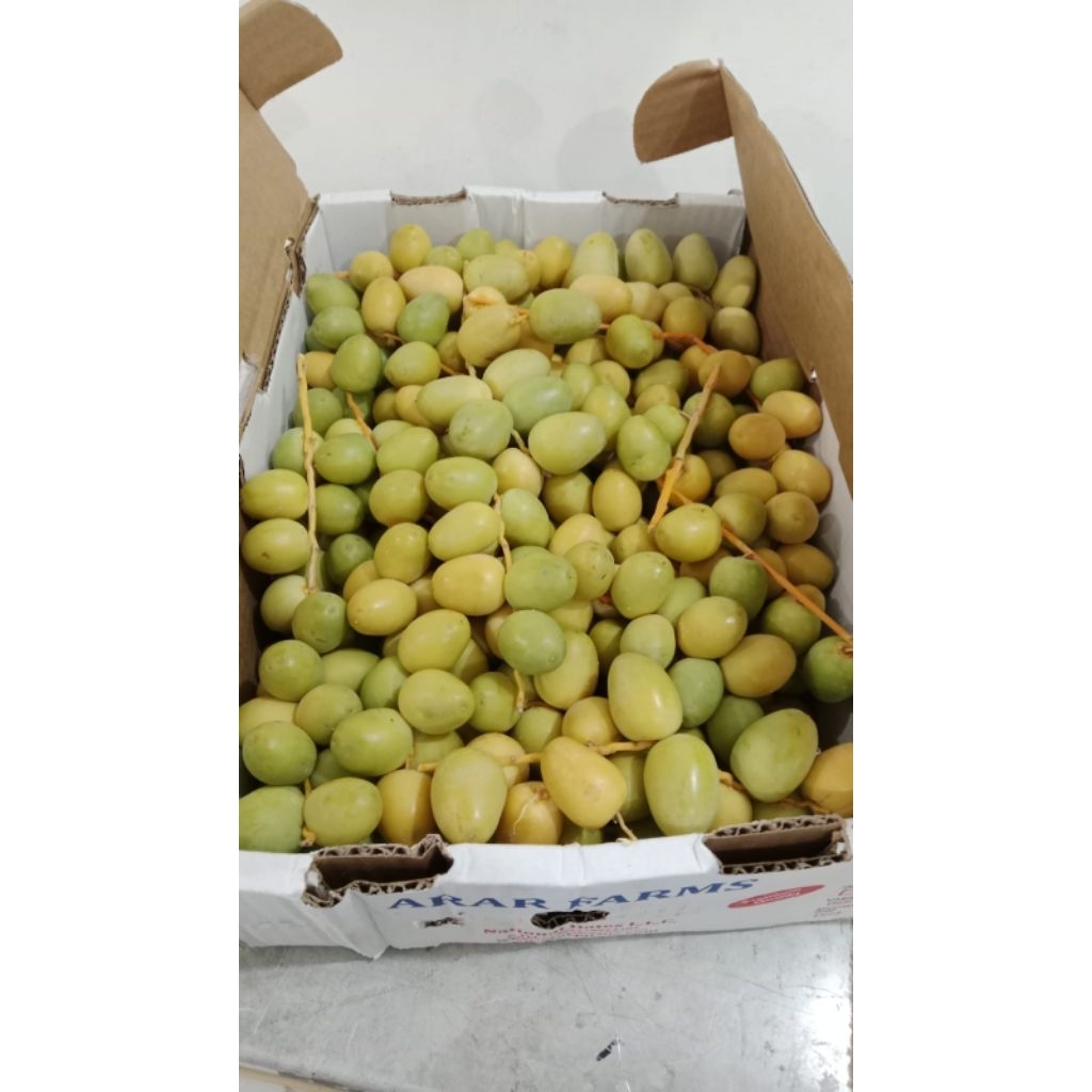 

KURMA MUDA KUNING PROMIL KURMA RUTOB SEGAR 500GRAM