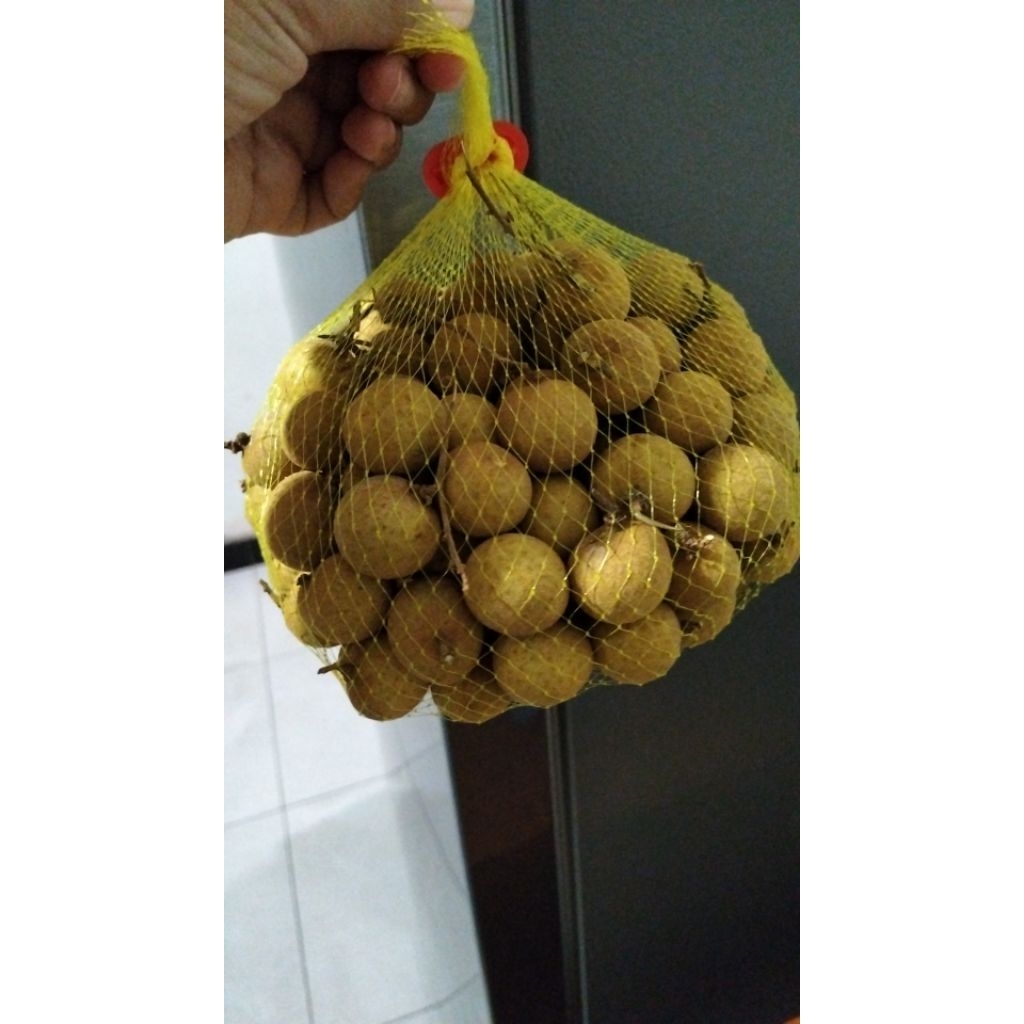 

kelangkeng