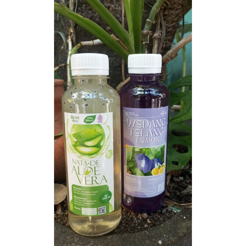 

Minuman Nata de Aloe Vera Minuman Herbal Lidah Buaya Sehat KWT Srikandi