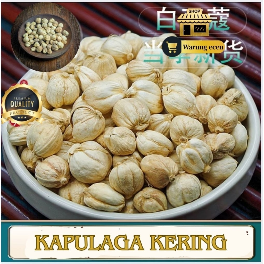 

PROMO Kapulaga Kering Herbal Nusantara – 1 KG Premium Grade A Organik